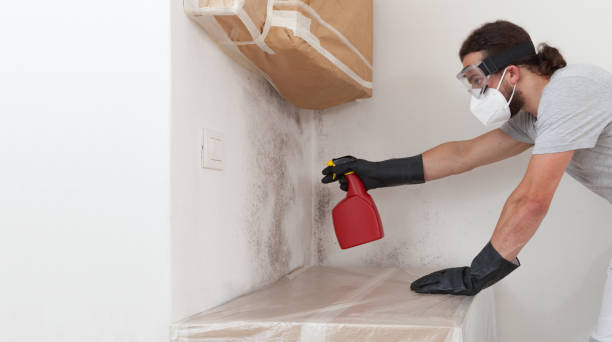 Professional Crawl Space Mold Remediation technician working in Okemos, MI