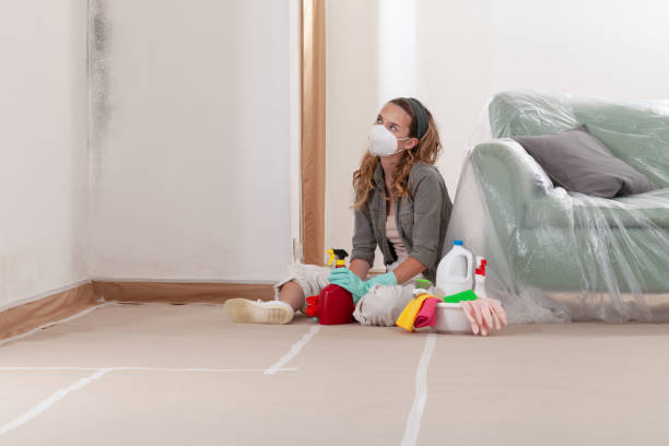 Reliable Crawl Space Mold Remediation contractor in Okemos, MI by Mold Remediation HQ